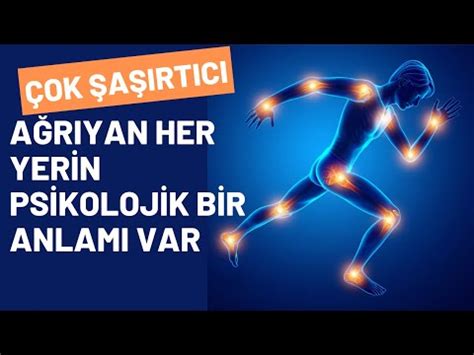 Diyetin Zihinsel Sağlık Üzerindeki Etkileri